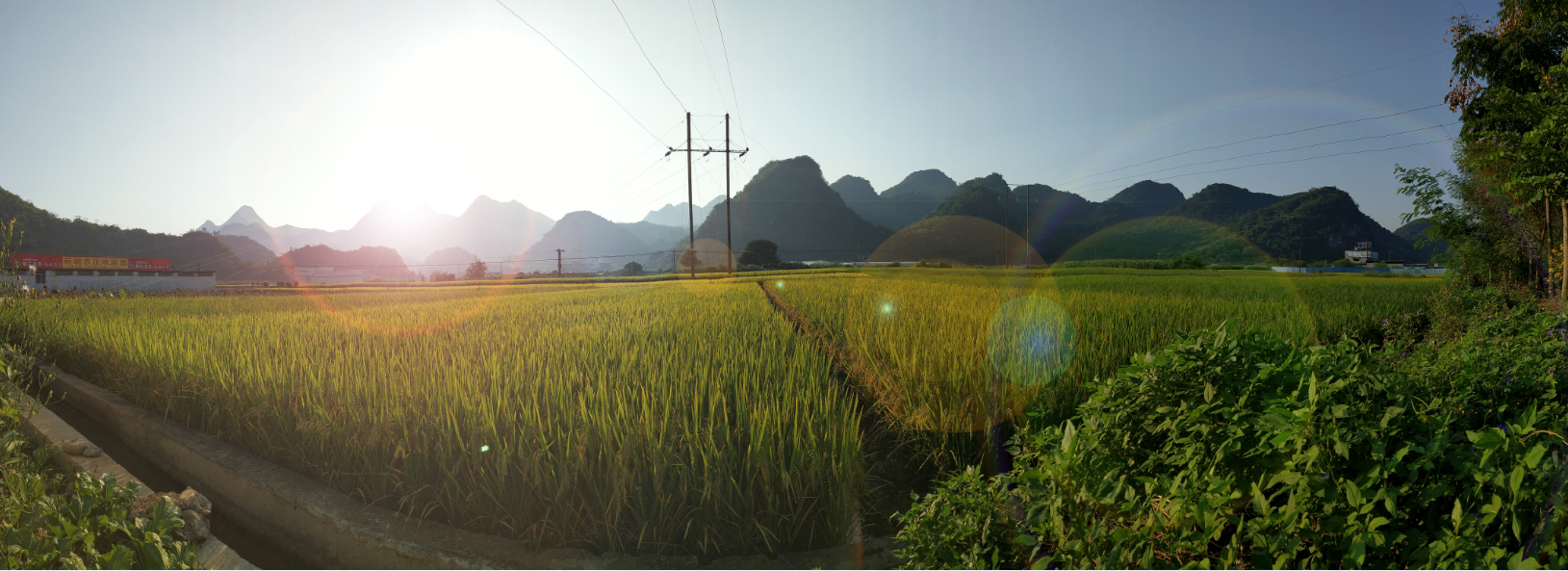 順利，成長(cháng)